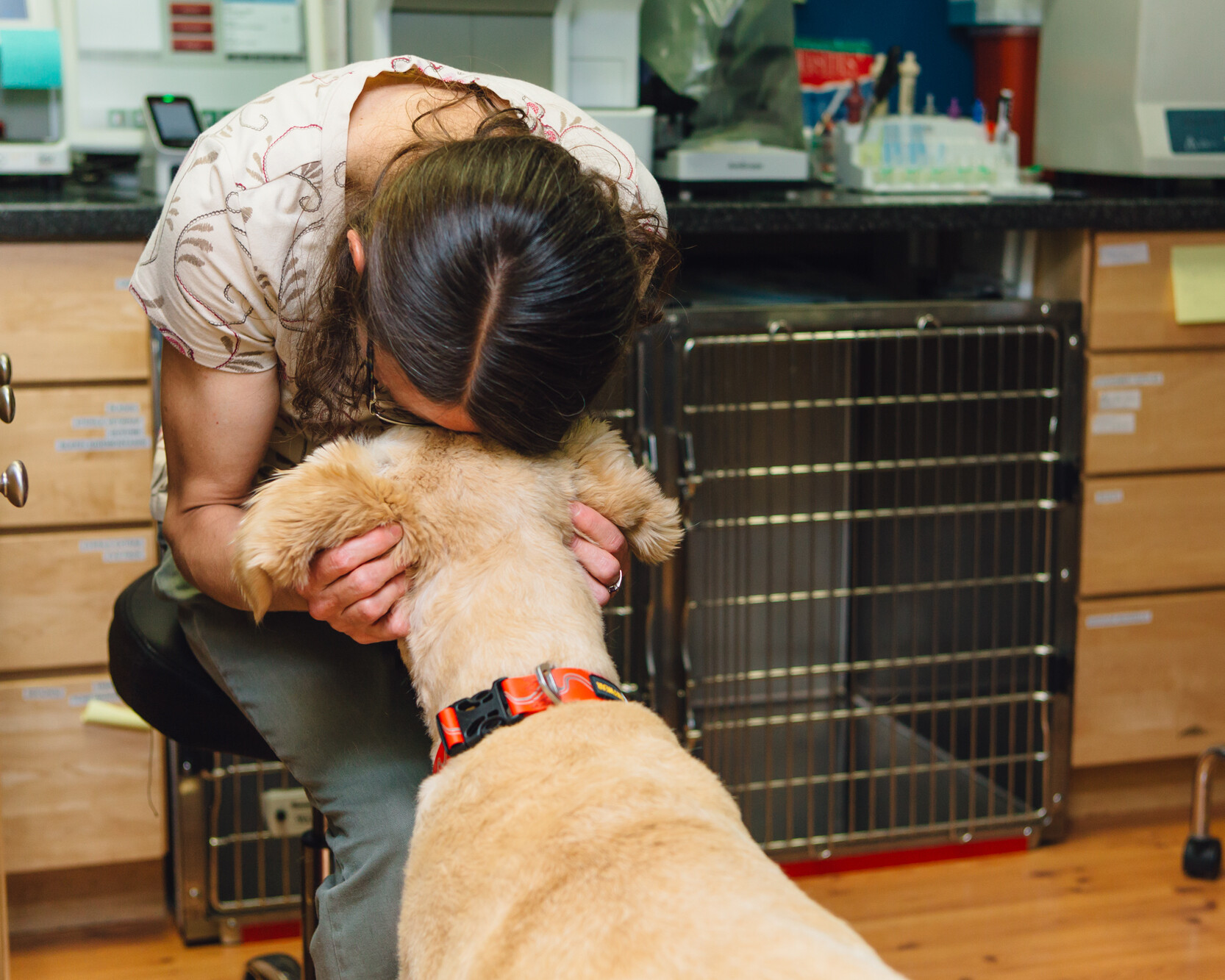Qi Veterinary Staff Nuzzling a Dog's Head