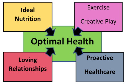 Illustration of Components for a Pets Optimal Health