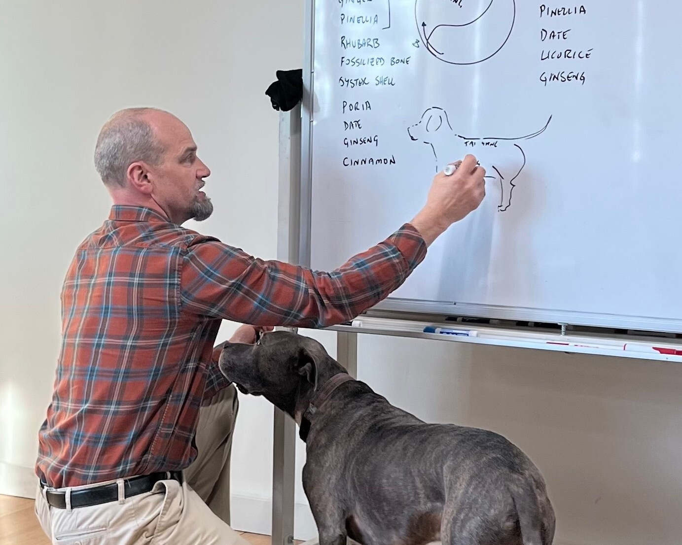 Dr. Nate writing on a whiteboard with his dog, Blue.