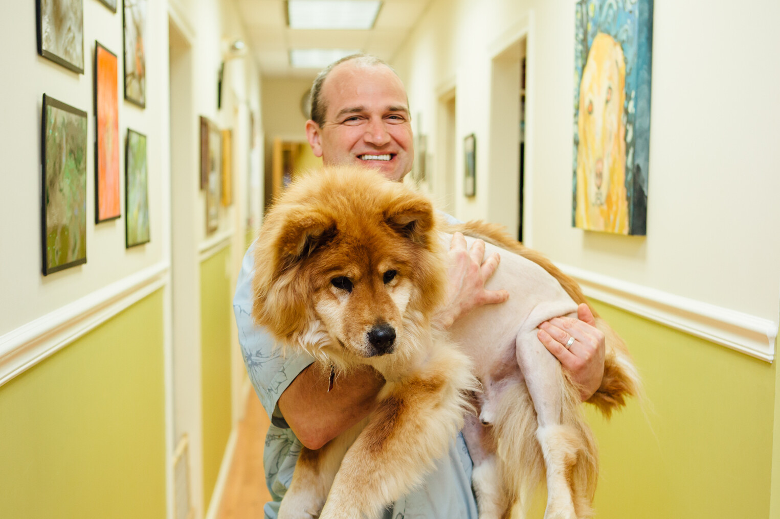 Dr. Nate Holding a Dog in the Clinic Hallway