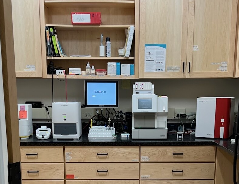 Diagnostic Tools and Machines in Qi Veterinary's Laboratory