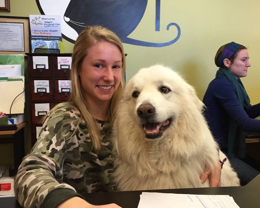 Female Qi Veterinary Staff Hugging a Smiling Great Pyrenees.
