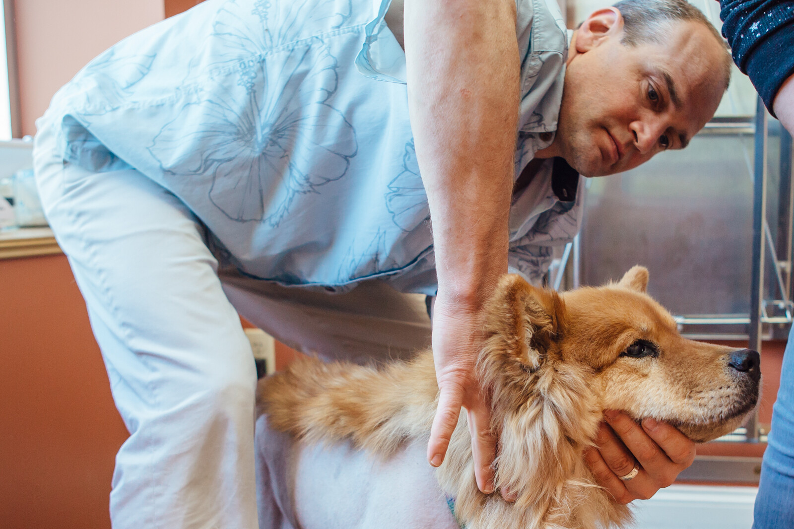Dr Nate Performing a Chiropractic Adjustment on a Dog