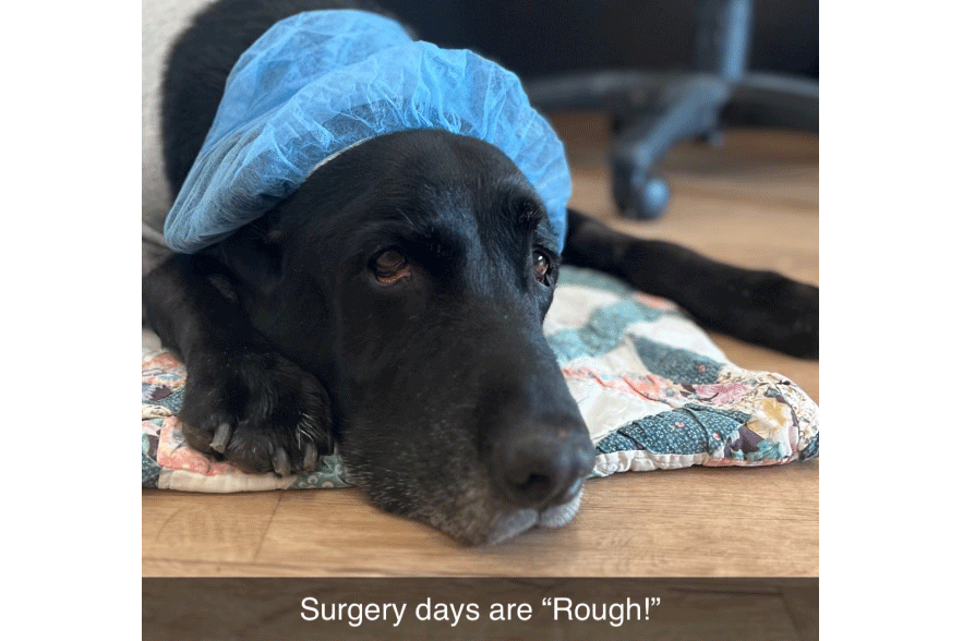 Surgical Services