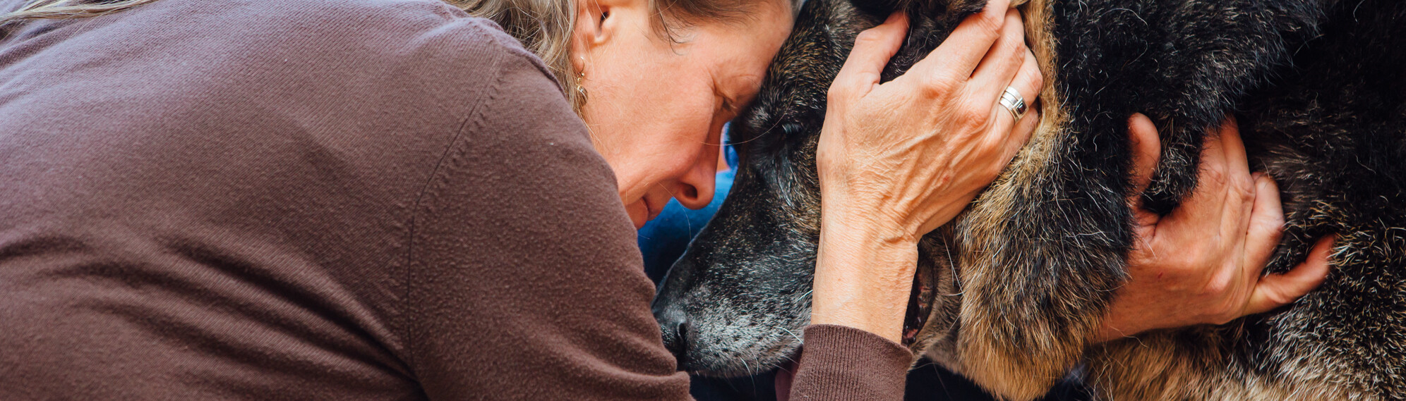 Woman with Her Forehead Gently on a Dog's Head
